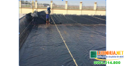 Bạt Chống Thấm HDPE 0.5mm Lót Ao – Giải Pháp Cho Chủ Nông Trại & Hồ Cá