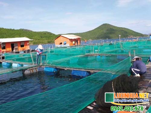 Lưới nuôi thủy sản