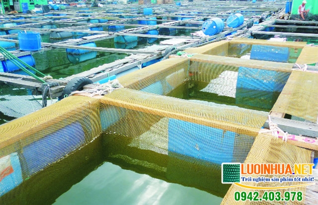 Lê Hà Vina cung cấp 1500m2 lưới nuôi trồng thủy sản cho anh Khương ở Cà Mau