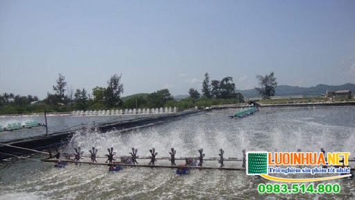 Mức giá bán bạt lót hồ nuôi tôm tại Lê Hà Vina