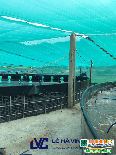 Công ty Lê Hà Vina cung cấp 2000m2 lưới che nắng ao nuôi tôm cho anh Hùng ở Bình Chánh TPHCM