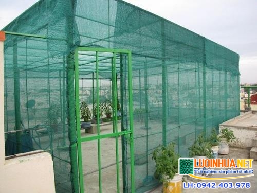 Lấy chất lượng làm gốc