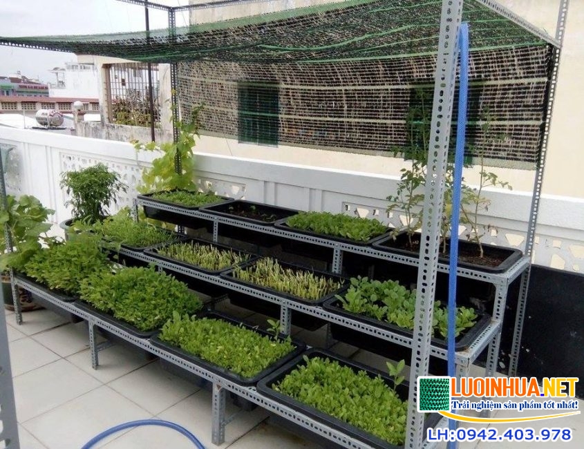 Một số đặc điểm của lưới che nắng Việt Nam