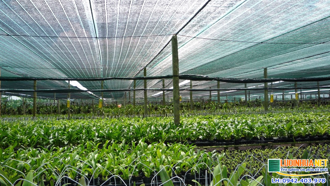 Lưới che nắng là gì