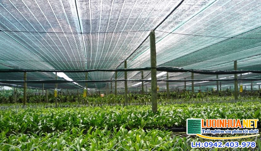 Chất lượng lưới che nắng