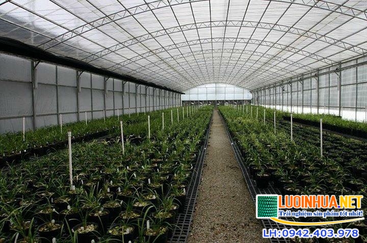 Ở đâu bán lưới che nắng chất lượng