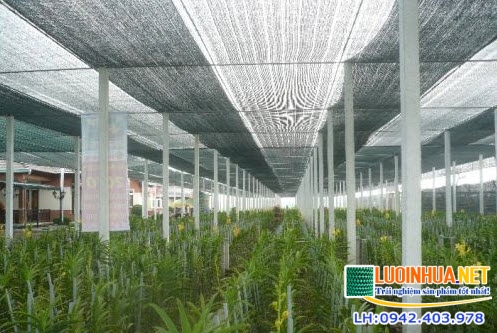 Lợi ích kinh tế khi sử dụng lưới che nắng vườn lan