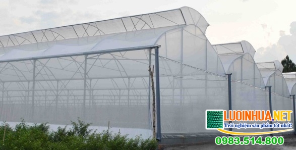 Mua lưới che chắn cây trồng giá rẻ tại Lê Hà Vina