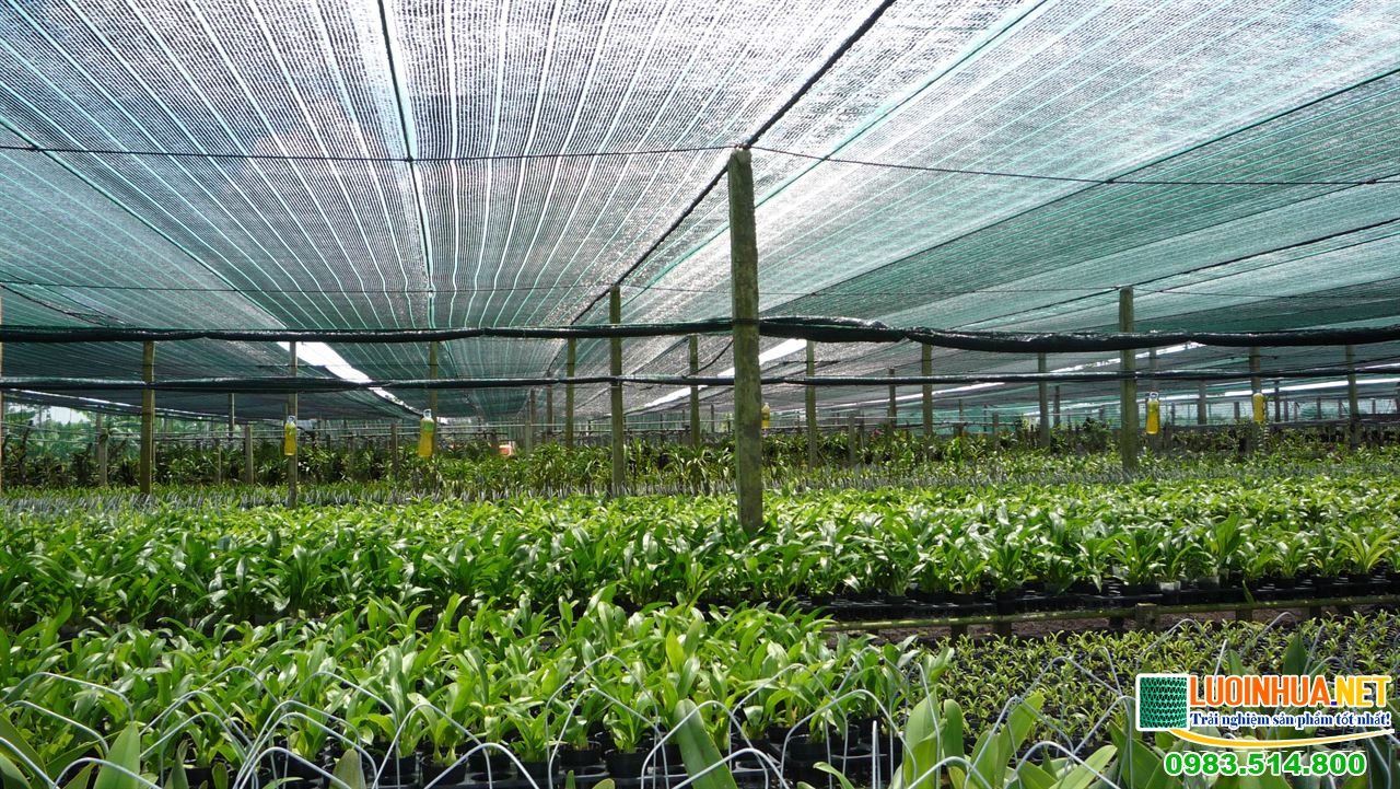Lưới che nắng Hàn Quốc được sử dụng trong nhiều lĩnh vực