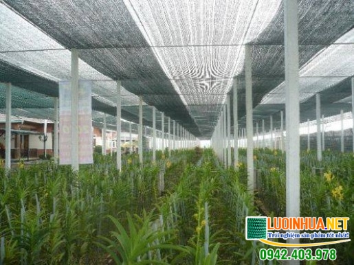 Lưới che nắng hoa lan 50%