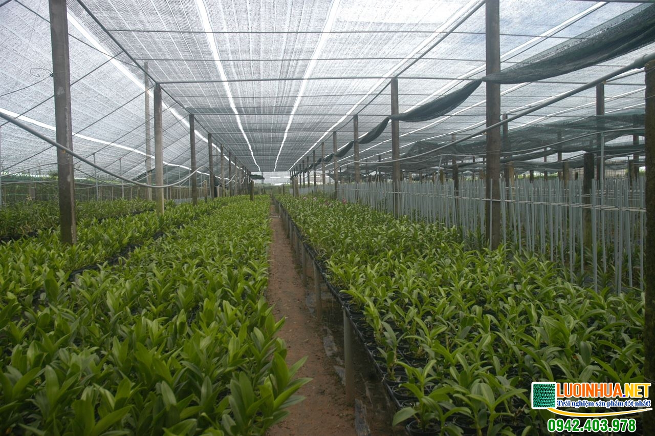 Lưới che nắng hoa lan 50% là gì
