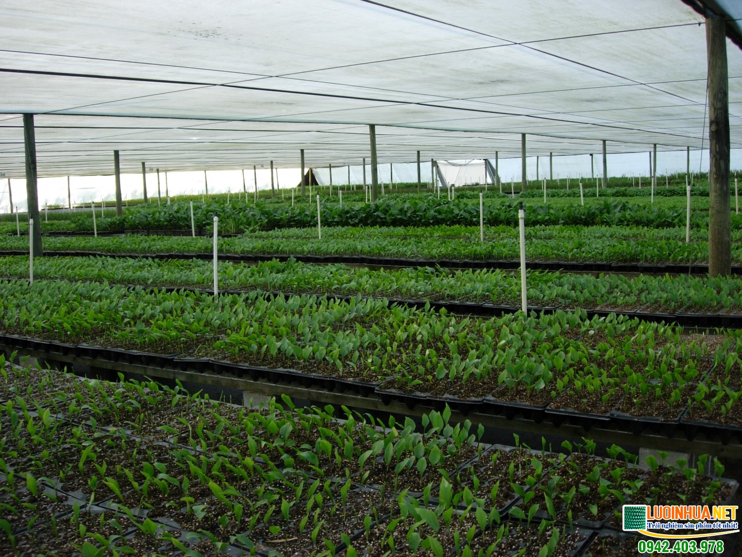 Độ bền cao tiết kiệm chi phí trùng tu, sửa chữa