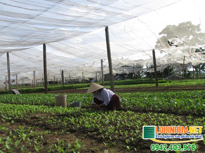 Lê Hà Vina là đơn vị cung cấp lưới nhựa uy tín