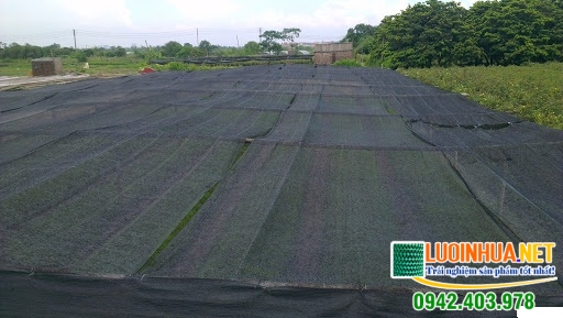Cung cấp 500m2 lưới che nắng trồng rau cho chị Nguyễn Minh Tuyết ở Bắc Ninh