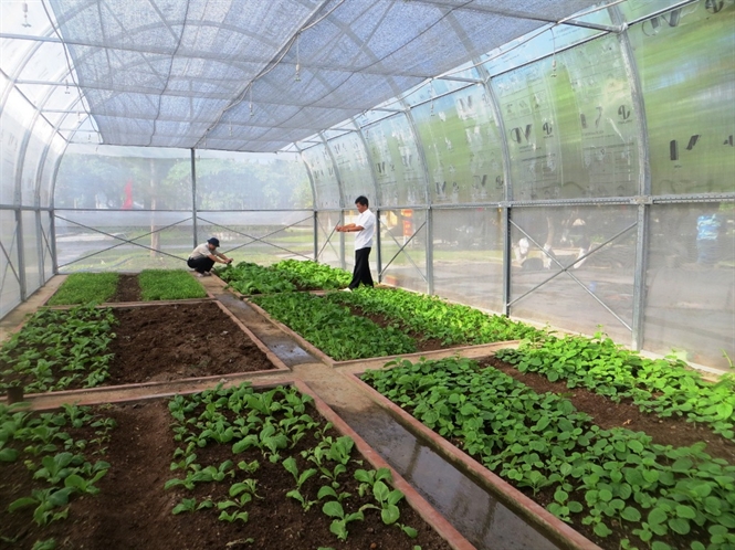 Giá lưới chống côn trùng có cao không