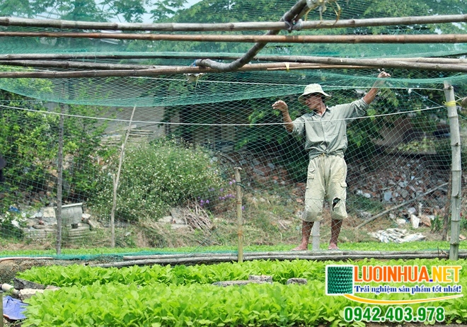 Lưới chống côn trùng trong nông nghiệp là gì