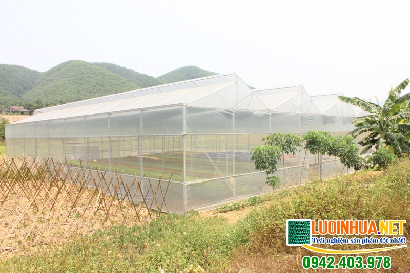 Vì sao nên sử dụng lưới chống côn trùng