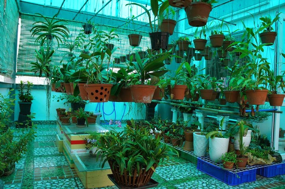 Mua lưới che nắng sân thượng ở đâu Hà Nội uy tín
