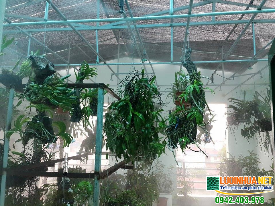 Công dụng của lưới che nắng cho lan