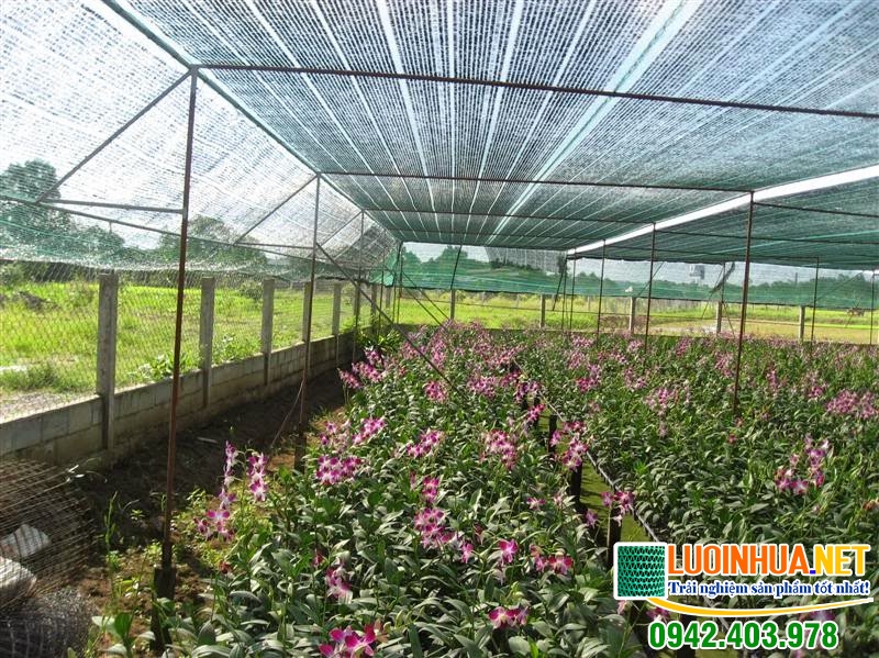 Tìm hiểu về lưới che lan