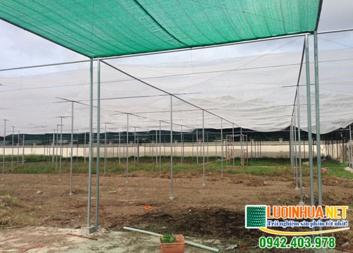 Những điều cần biết về nhà lưới