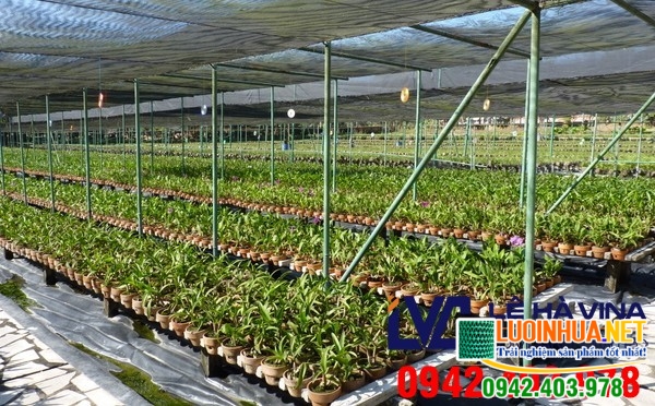 Lưới che lan của Đài Loan có chất lượng tốt