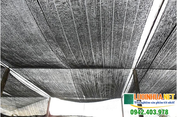 Chị Tím muốn bảo vệ cây trồng bằng loại lưới nhựa đạt tiêu chuẩn cao