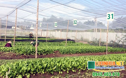 Công dụng của lưới mùng trắng