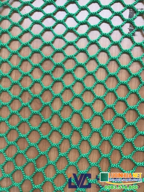 Lưới an toàn Hàn Quốc