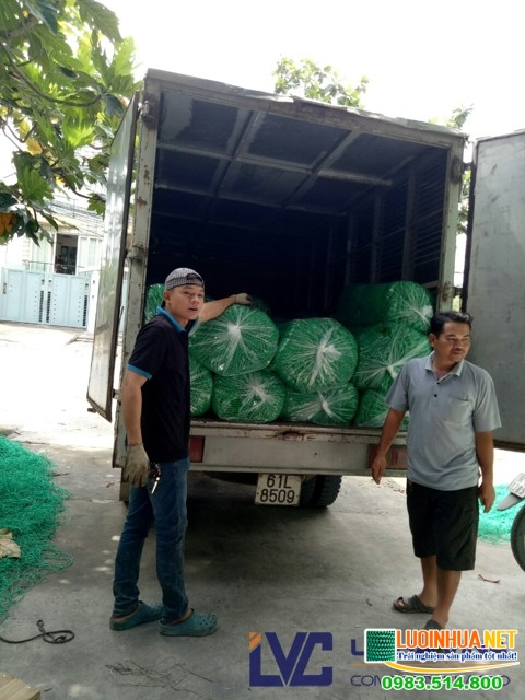 Giá lưới mùng xây dựng bao nhiêu