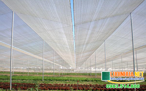Lưới nông nghiệp có tốt không