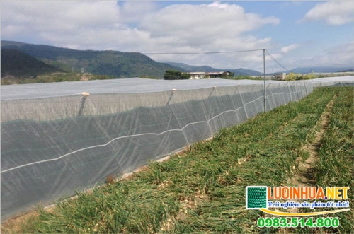 Công ty nào báo giá lưới chắn côn trùng rẻ nhất