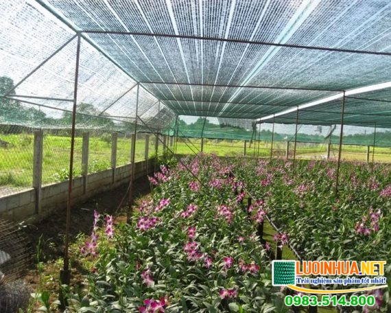 Lưới nông nghiệp loại nào tốt nhất hiện nay