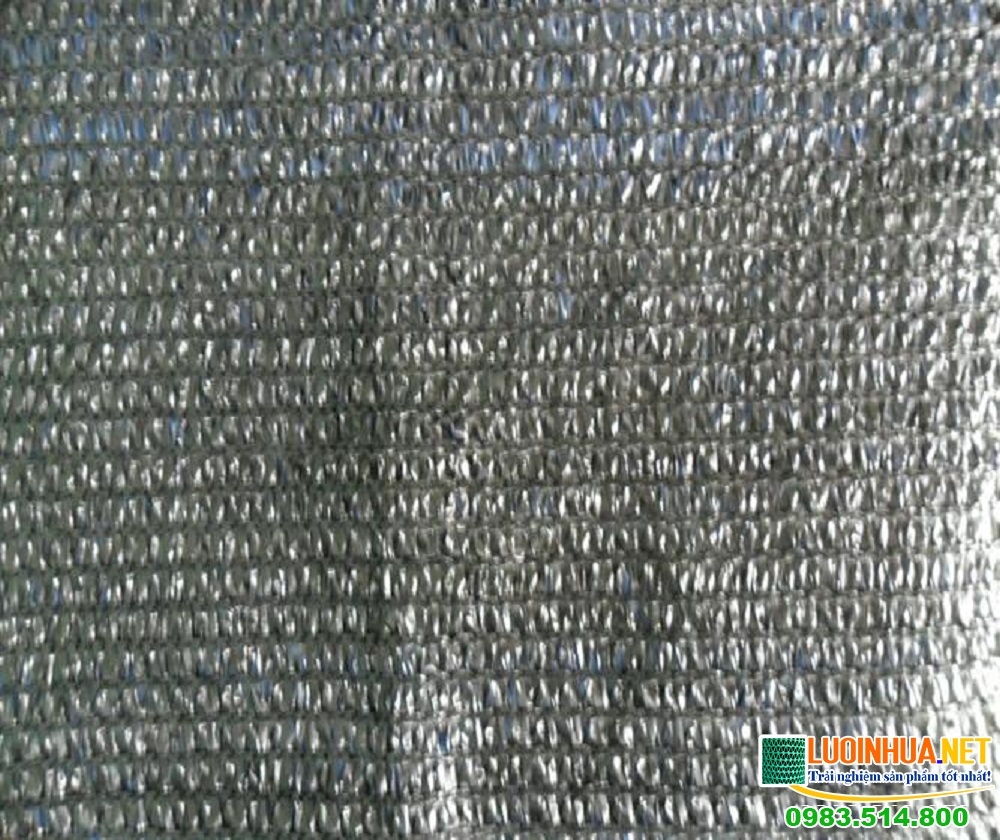 Vì sao nên mua lưới chống bụi cho nhà ở Long An