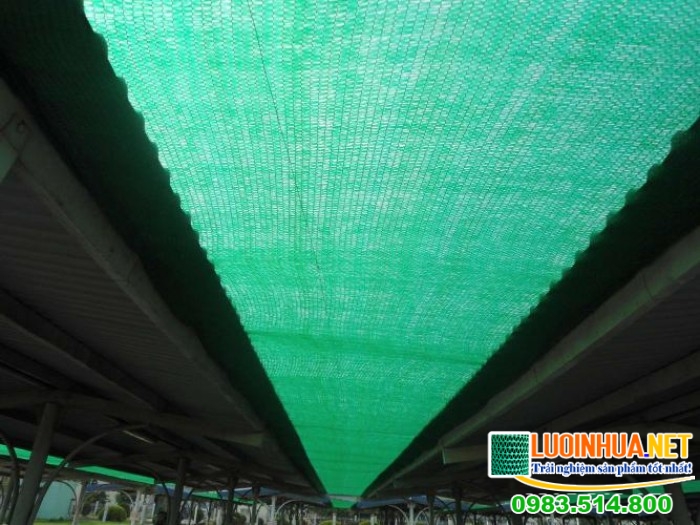Tổng kho lưới che nắng Thái Lan tại Hà Nội