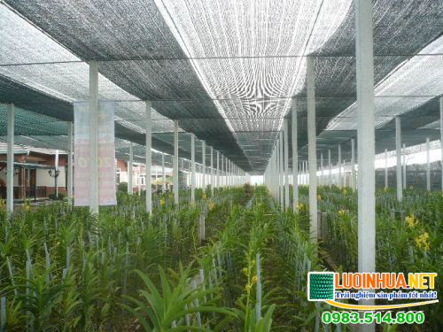 Địa chỉ cung cấp lưới che lan 50% uy tín chất lượng trên thị trường hiện nay