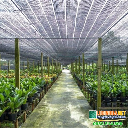 Lưới che nắng cho cây loại nào tốt nhất