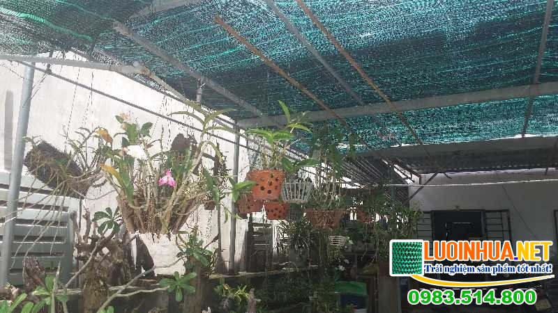 Nên mua lưới che nắng cho phong lan ở đâu chất lượng giá tốt