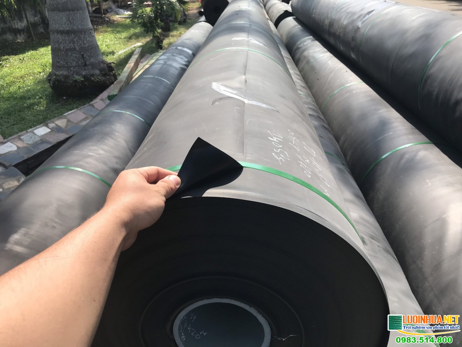 Chú ý cần nhớ khi dùng bạt trải ao tôm