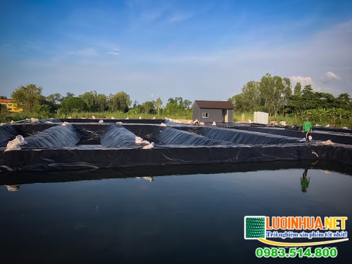 Bạt trải hồ nuôi tôm có ưu điểm gì