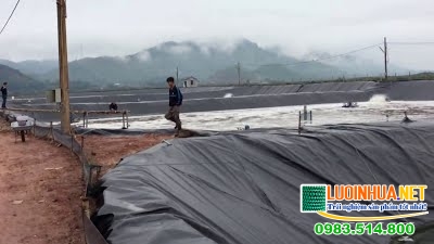 Các lưu ý khi thực hiện kỹ thuật lót bạt ao nuôi tôm