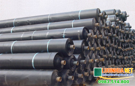 Vì sao phải mua bạt lót ao nuôi tôm giá rẻ