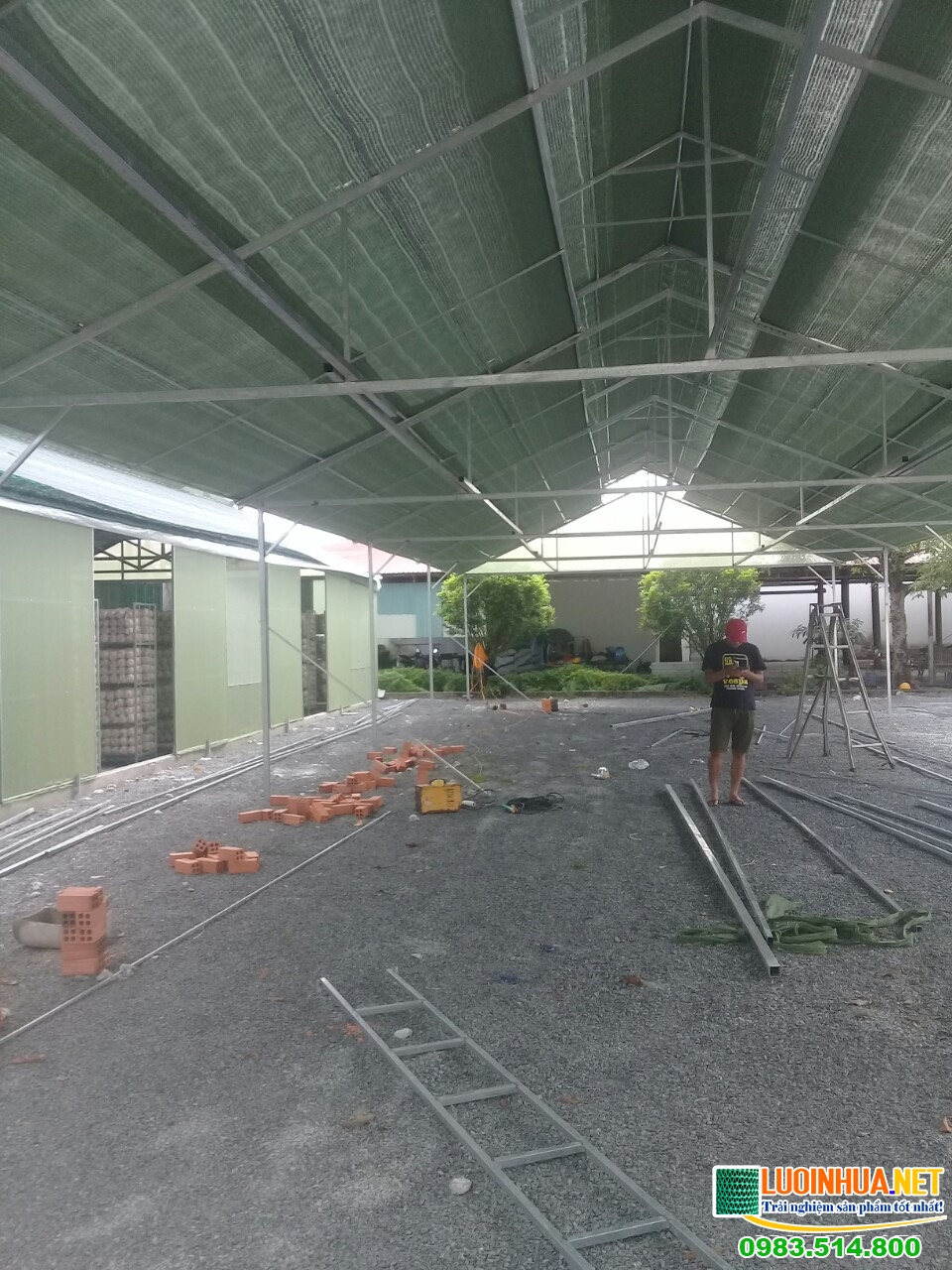 Nấm linh chi và đông trùng hạ thảo có giá trị kinh tế cao