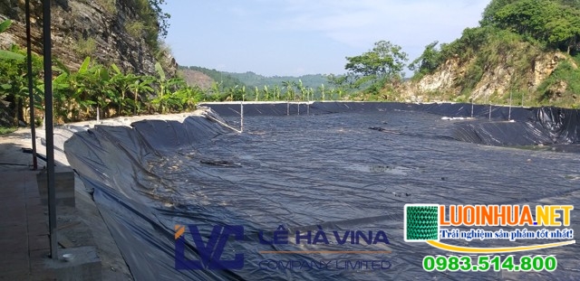 Lê Hà Vina nhận báo giá màng chống thấm tốt nhất trên thị trường