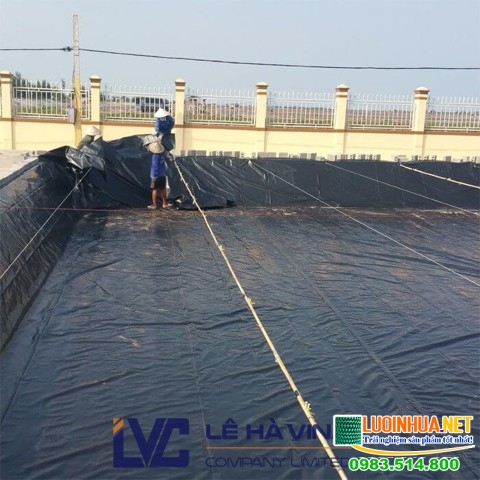 Bạt trải ao giúp duy trì chất lượng nước, cải thiện quá trình chuyển hóa thức ăn