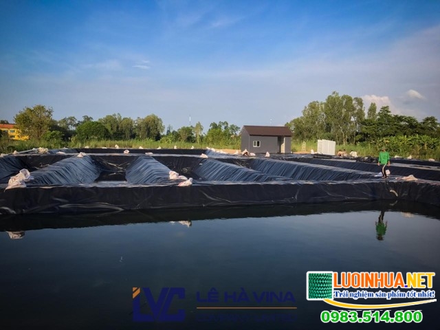 Sử dụng bạt trải ao nuôi cá giúp tiết kiệm chi phí