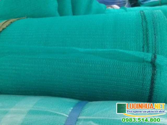 Các loại lưới công trình