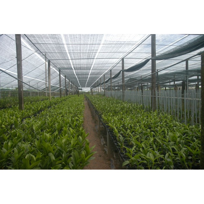 Tìm hiểu các loại lưới chống côn trùng