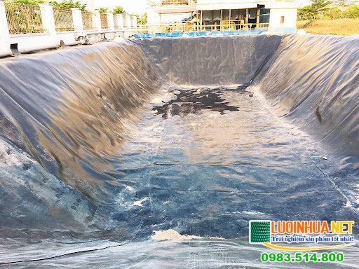 Bạt chống thấm hồ cá