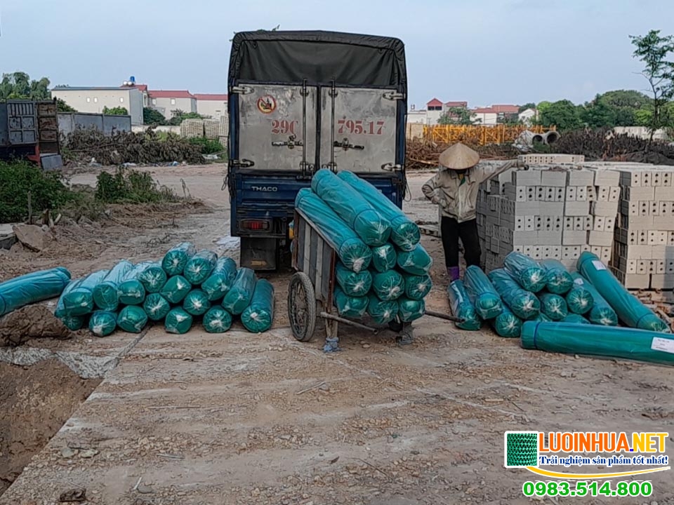 le ha vina giao luoi che nang xanh ngoc cho khach o bac ninh 3
